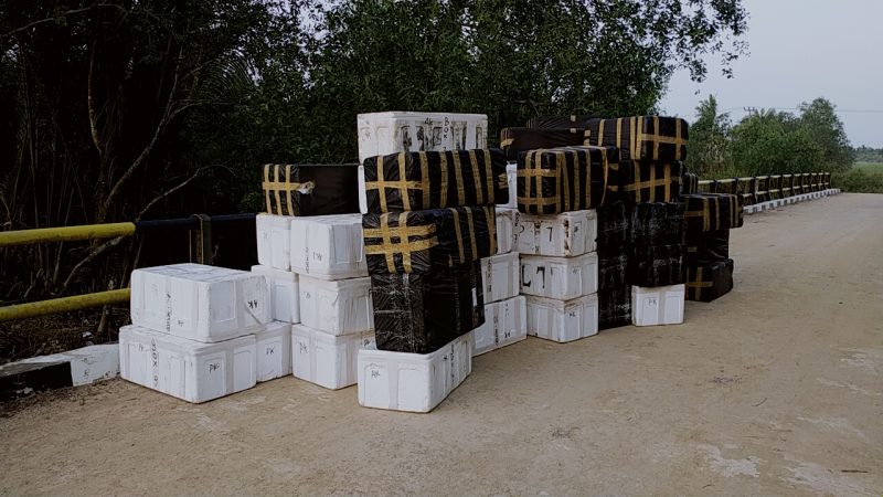 Sebanyak 77 Box Benur Ditemukan Tanpa Pemilik Di Jembatan Parit II
